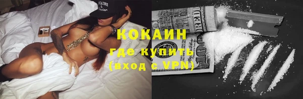 метадон Ельня
