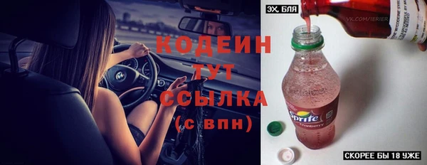метадон Ельня