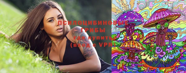 метадон Ельня