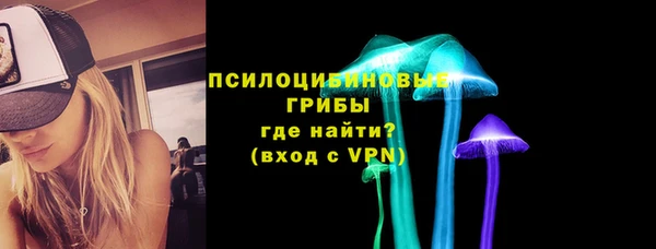метадон Ельня