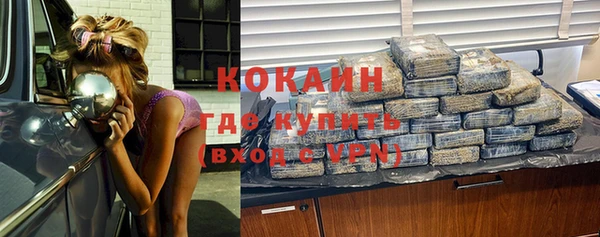 метадон Ельня