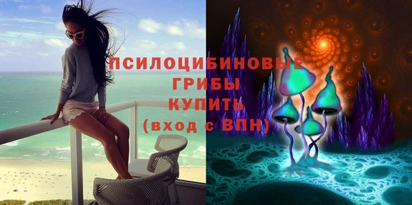 дживик Елизово