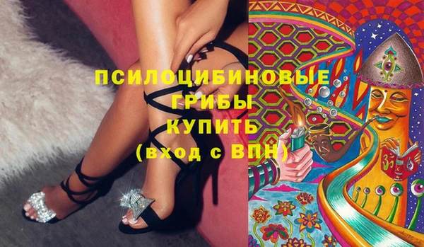 метадон Ельня