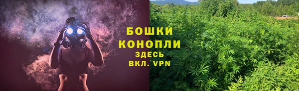 дживик Елизово