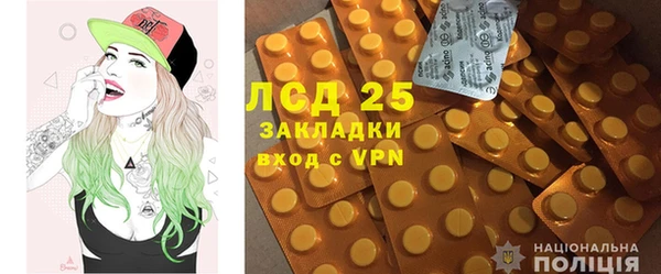 метадон Ельня