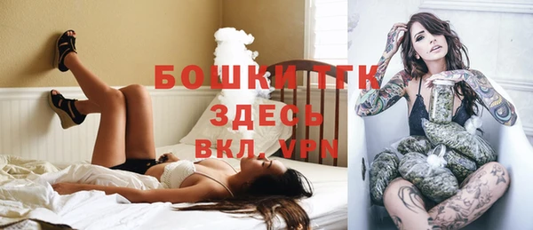 дживик Елизово