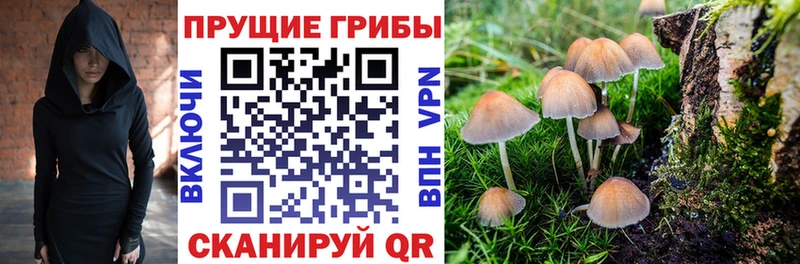 Галлюциногенные грибы GOLDEN TEACHER  наркота  omg онион  Инза 
