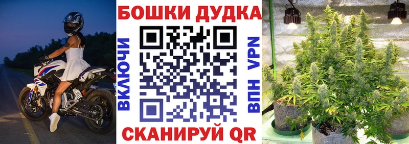 Бошки Шишки гибрид  купить наркоту  Инза 